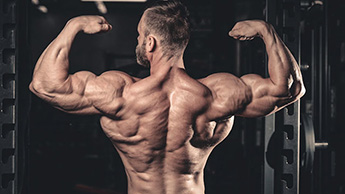 Welche Fitnessgeräte können für das Schultermuskeltraining verwendet werden?