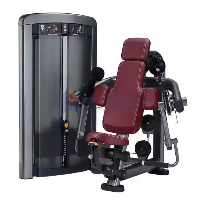 Bizeps Curl und Trizepsmaschine
